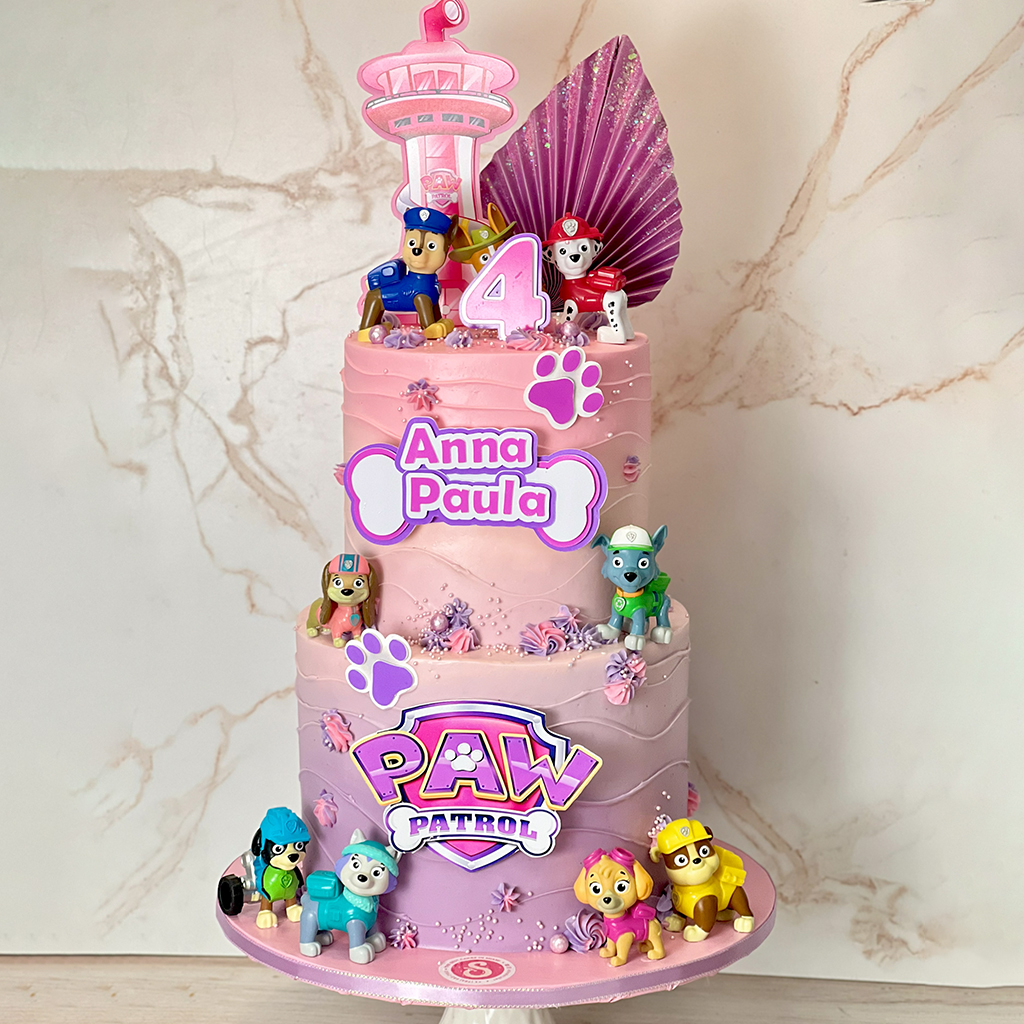 Paw Patrol Adventure Cake