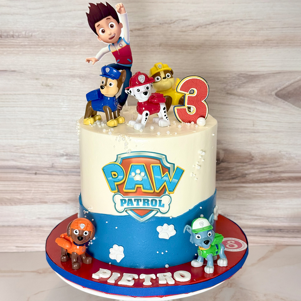 Paw Patrol Hero Cake
