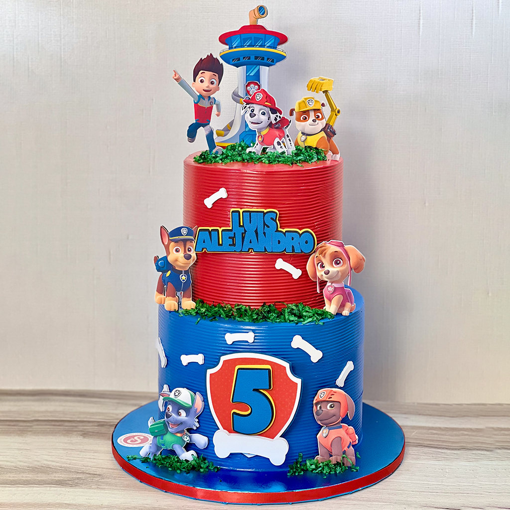 Paw Patrol Adventure Cake
